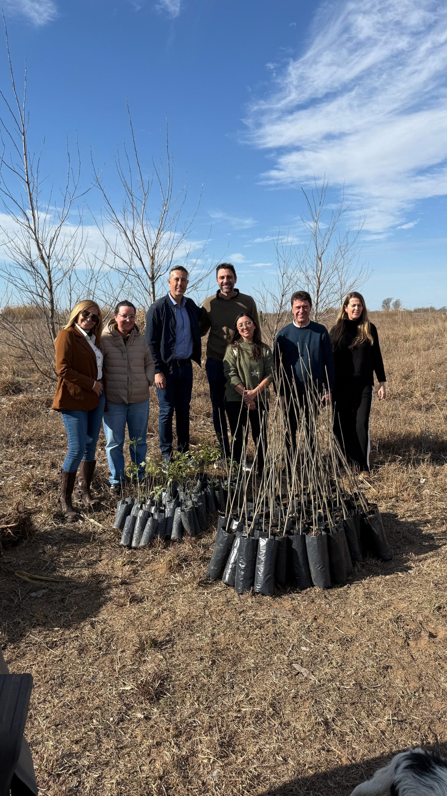 400 Árboles para la Ciudad